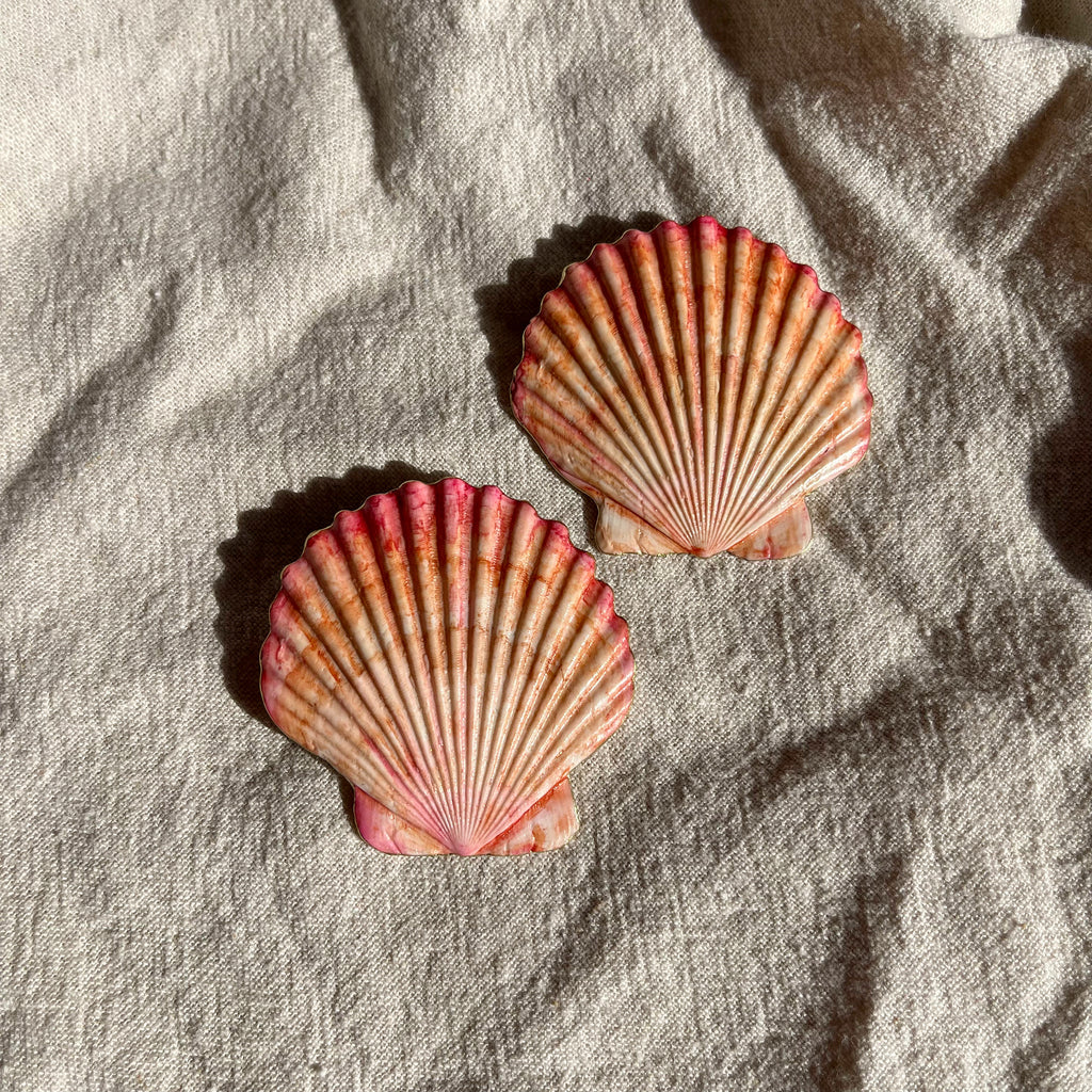 Hand Painted Scallop Shells